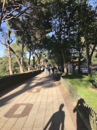 a person is walking down a path in a park